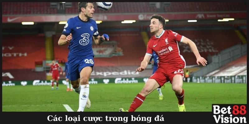 Các loại cược trong bóng đá