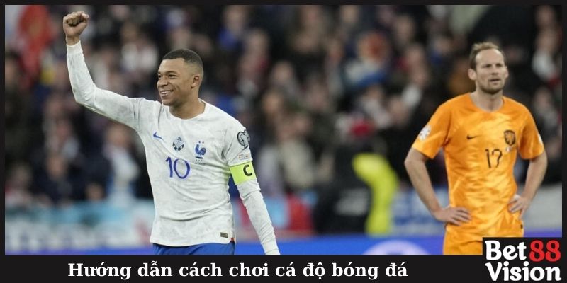 Hướng dẫn cách chơi cá độ bóng đá
